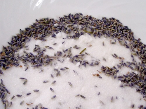 Lavender buds infusing sugar with flavor