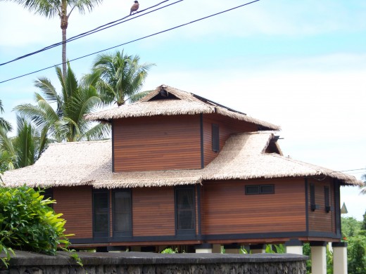 A cool house on stilts with a grass roof.