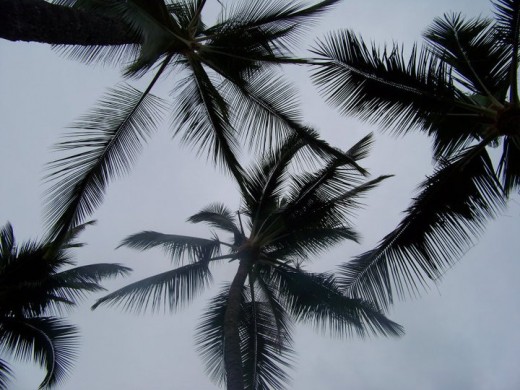 It rains quite often in Hilo area