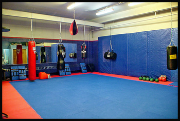 The MMA gym you select should be properly matted