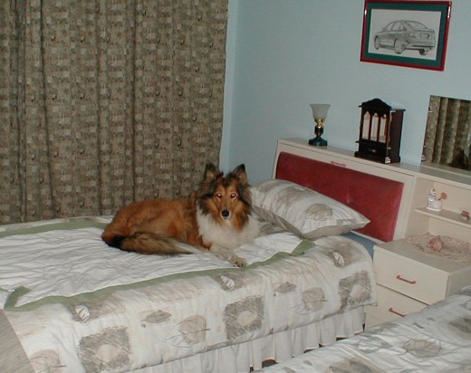 My bedroom