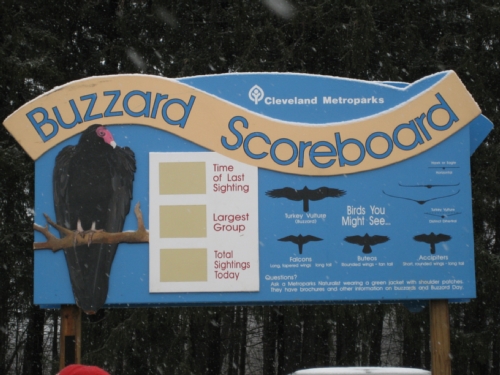 The Official Buzzard Scoreboard