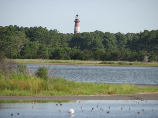 Assateague Lighthouse is viewed on the left of Beach Road on Assateague Island, Virginia, U.S.A.
