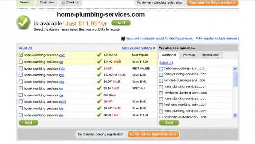 Choose your domain name and pick your extension.