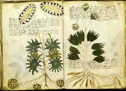 One of the pages of manuscript