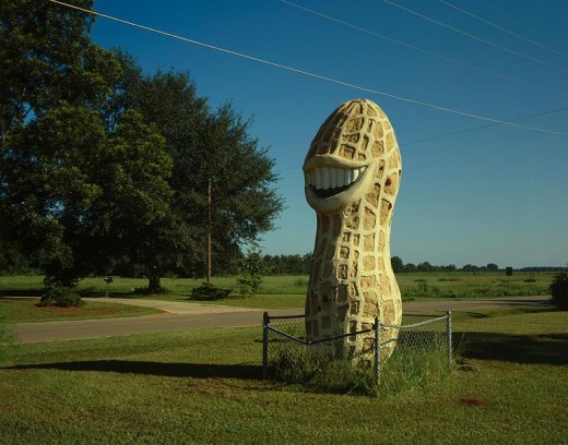 A giant peanut on Highway 49 near Plains, Georgia, United States. Built in 1947, it is associated with Plains native and former U.S. President Jimmy Carter, a one-time peanut farmer.