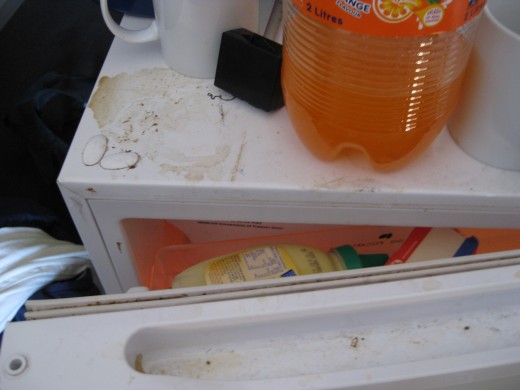 Fridge in  bedroom I shared with the cleaner