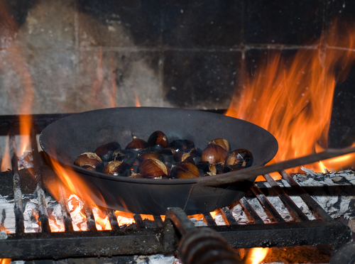 Chestnuts - perfect winter food. Image:  lolloj|Shutterstock.com