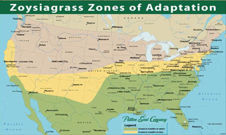 areas of zoysia grass growth