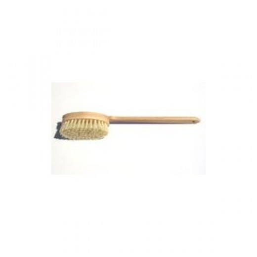 Best Body Brush Top Dry Brushing Cellulite Brush hubpages