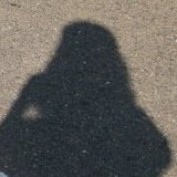 Debra Marie profile image