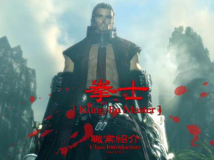 The Kung-Fu Master class utilizes their own fists and feet to defeat their enemies. Most of the Kung-Fu Master's attacks are delivered in combos for fast and very effective melee ranged blows. With such quick reflexes Kung-Fu Master's can attack and 