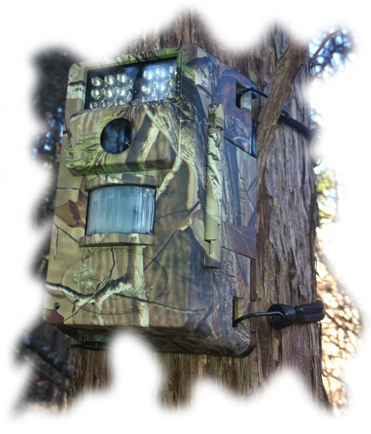 This small game camera is not as easily spotted in the woods thanks to the RealTree camo pattern.