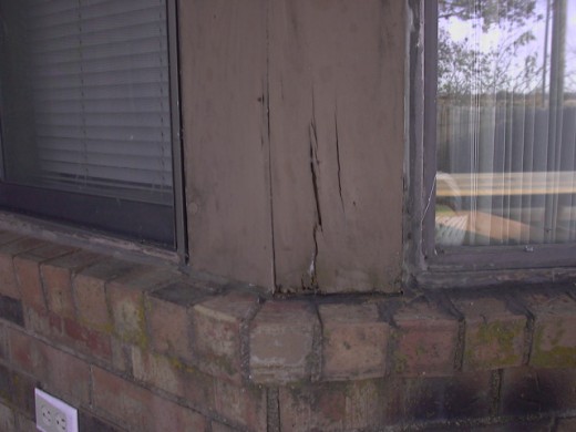 Rotten Wood