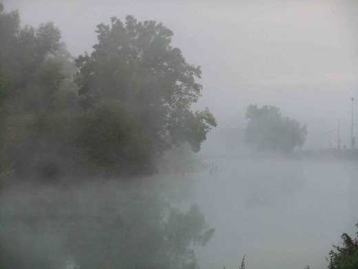 Cold and Foggy Morning at the Golf Course