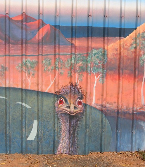Beep beep - Emu as Roadrunner