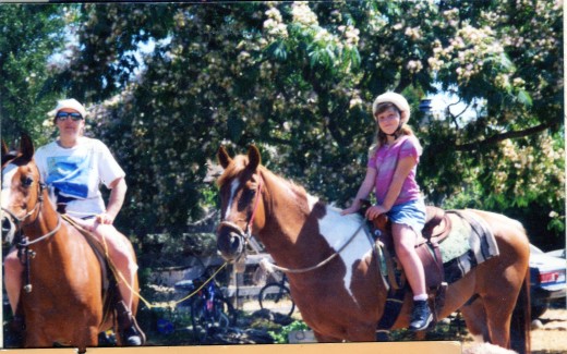 This is Dale, the horse that saved the boys life
