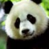chiien88 profile image