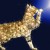 Sprinkle a kitty with magical gold-dust and you'll get a Glittered Bengal! Sprinkle a kitty with magical gold-dust and you'll get a Glittered Bengal!
