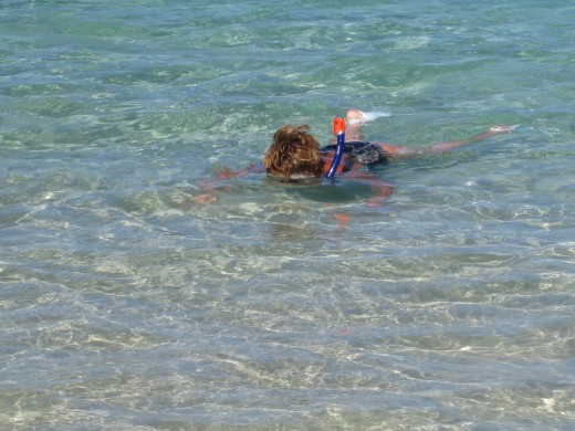 Ningaloo reef is great to walk in off the beach.