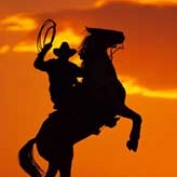 lariats profile image
