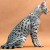 The majestic, enormous and wild-looking Savannah. The majestic, enormous and wild-looking Savannah.