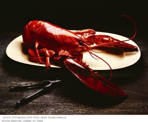 Lobster Boiled In Soda