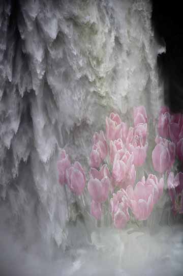 Abstract Waterfall and Tulips Photo