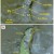 Lonsdaleite crystals are very rare and small. Lonsdaleite crystals are very rare and small.
