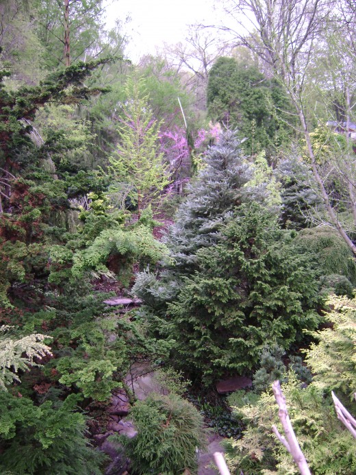 PICTURE TAKEN FROM THE BALCONY 