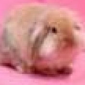 rachel kkk profile image