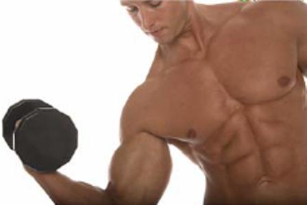 Muscle development: "No pain; no gain"