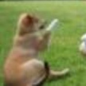 ksquires profile image