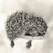 redpony profile image