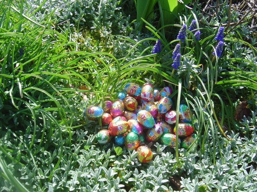 A treasure trove ov eggs amongst the tulips