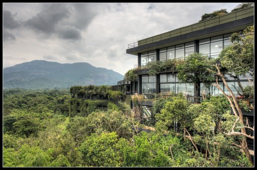 A green side of the Five-Star ecolodge