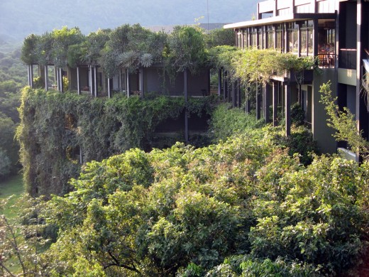 An ecolodge amidst foilage