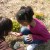 Pulling weeds from the flower bed. Pulling weeds from the flower bed.