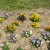 Annual Trial Bed Annual Trial Bed