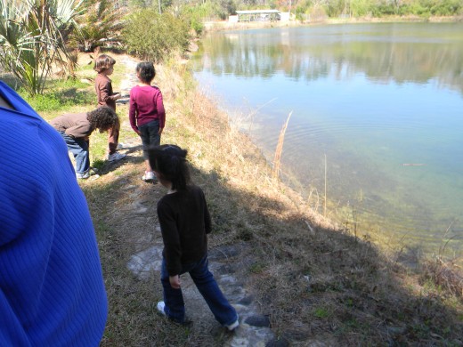 You must visit the ponds! They are stocked with fish....but only employees of the farm are allowed to fish there.