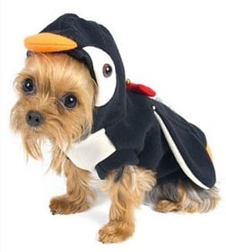 Teenie Weenie the Yorkie dressed in an adorable animal small dog costumes for 2014