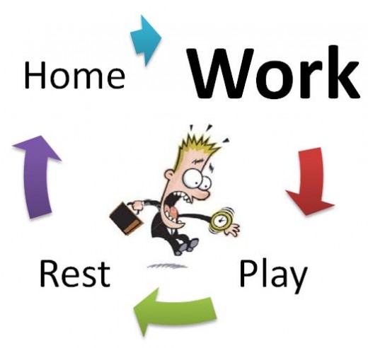 Cycle of life - full of things to do!