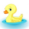 sittingduck profile image