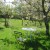 We have large gardens with lawns and fruit trees