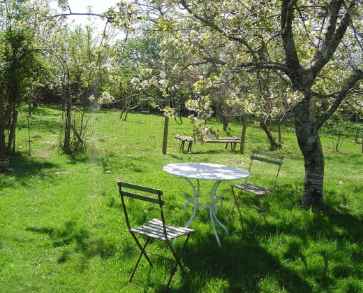 We have large gardens with lawns and fruit trees