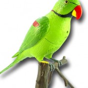 Mablu profile image