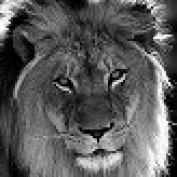 SanteR profile image