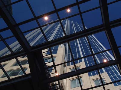 looking through the glass Ceiling 