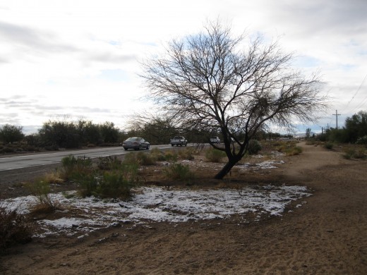 Patch of snow along N. Shannon Rd. in Tucson