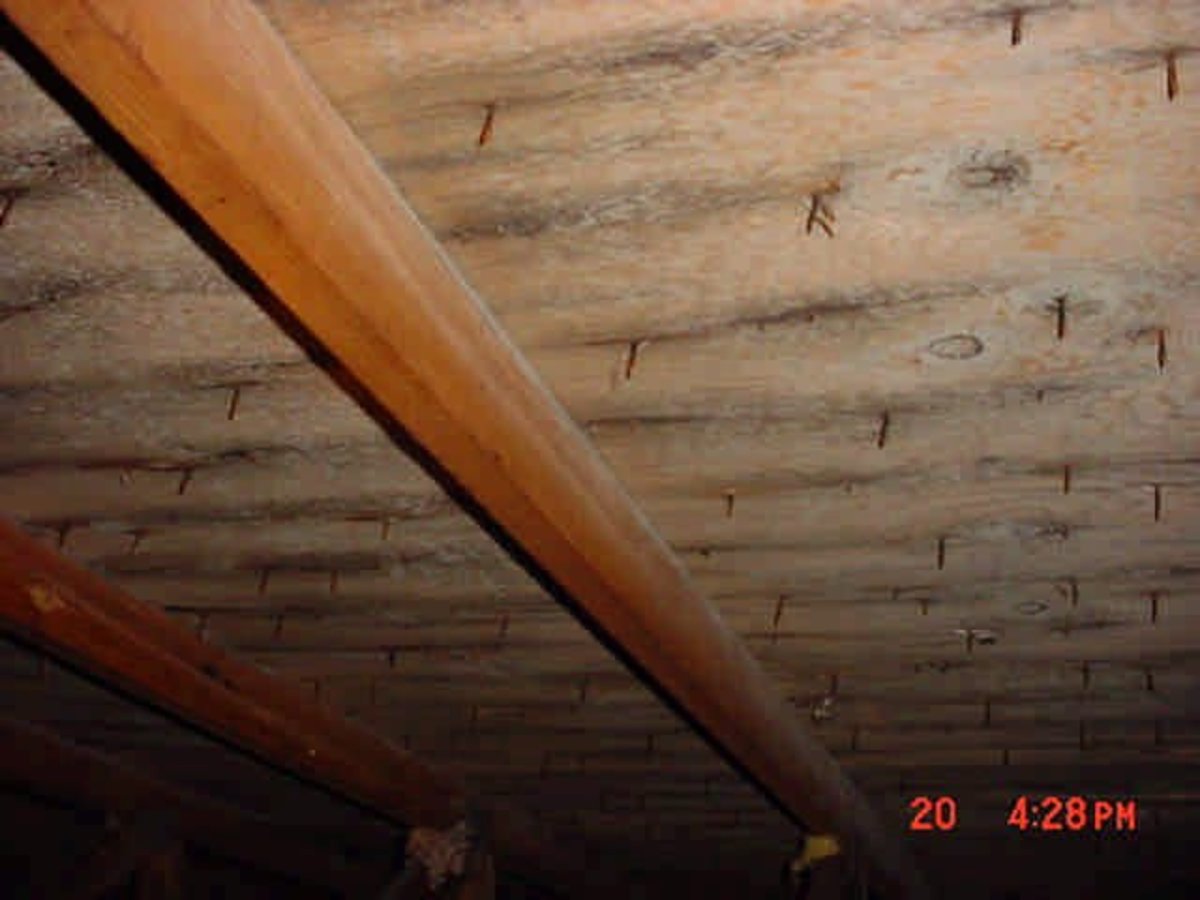 How do you remove mold from an attic?
